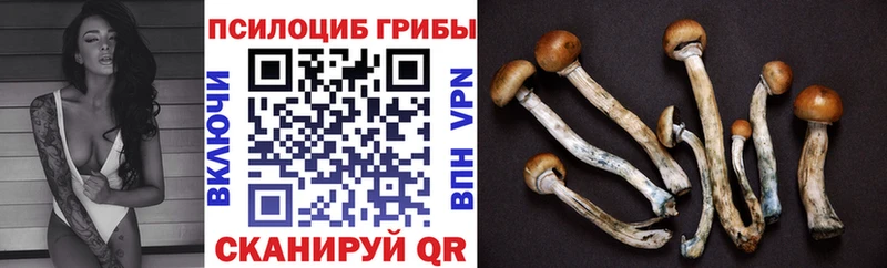 маркетплейс наркотические препараты  Верхотурье  Галлюциногенные грибы прущие грибы 